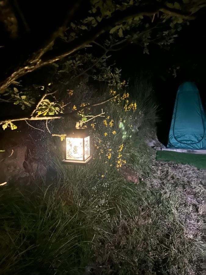 Tipi Sous Les Etoiles Option Et Service Sur Place Petit Dejeuner Et Diner * Lucéram