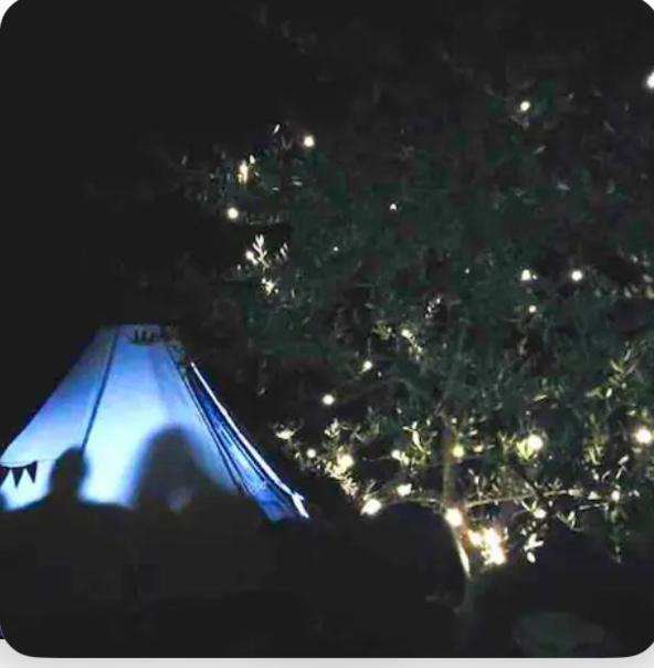 Luxuszelt Tipi Sous Les Etoiles Option Et Service Sur Place Petit Dejeuner Et Diner